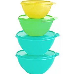 New Tupperware Wonderlier 4 Piece Bowl Set